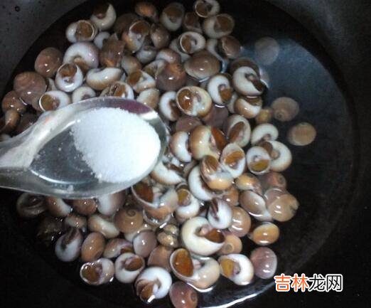海螺开锅蒸几分钟好