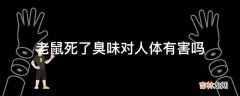 老鼠死了臭味对人体有害吗