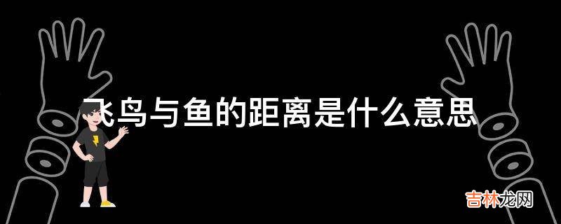 飞鸟与鱼的距离是什么意思