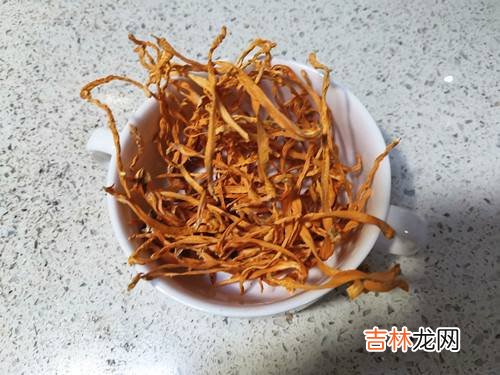 虫草炖鸽子一次几根