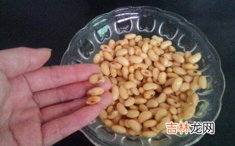 豆浆机多久打好豆浆