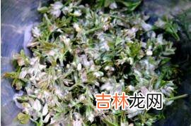 鲜花椒芽怎么做好吃