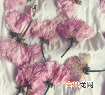 樱花茶怎么制作方法