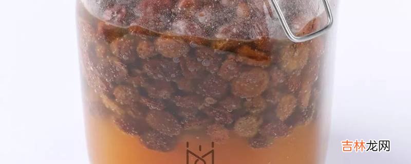 五种自制常见天然酵母