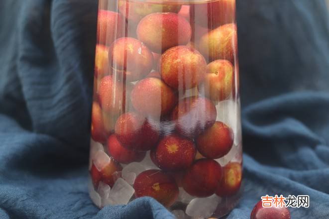 红李子酿酒制作方法