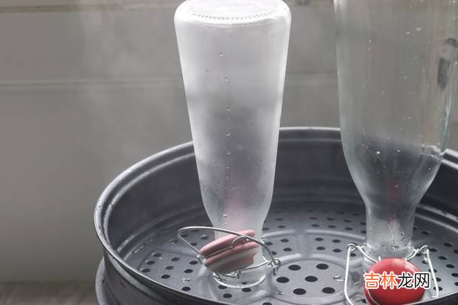 红李子酿酒制作方法