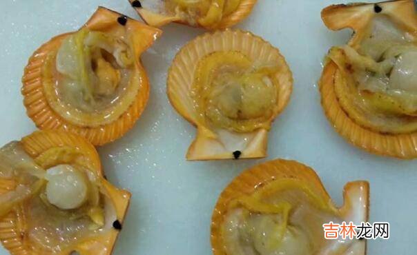 蒜蓉扇贝怎么做