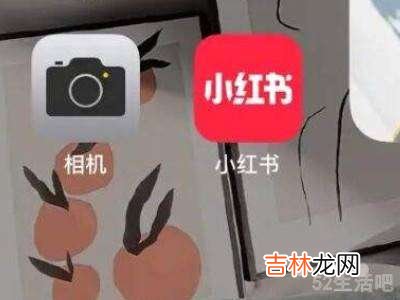 苹果12对焦为什么模糊?