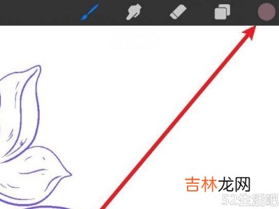 procreate怎么上色?