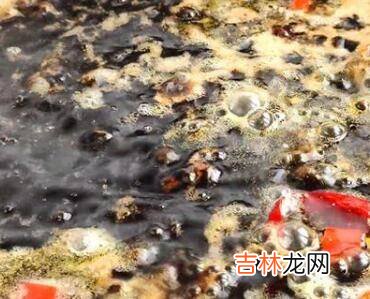 腌大蒜杆怎么腌好吃