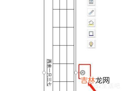 word里的表格怎么旋转成竖版?