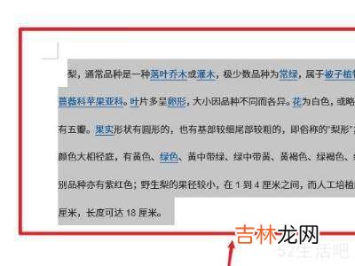 word格式乱了怎么调整?