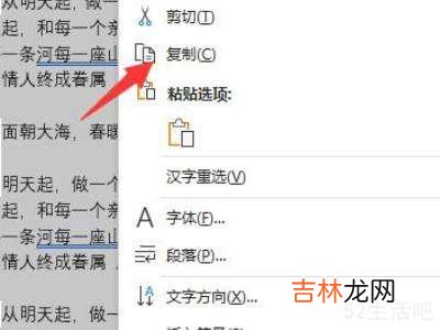 如何复制word的一整页?