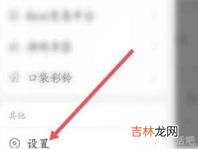 网易云可以隐身在线吗?