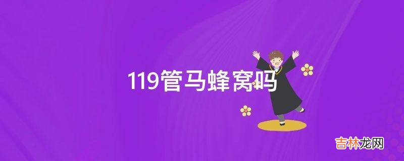 119管马蜂窝吗
