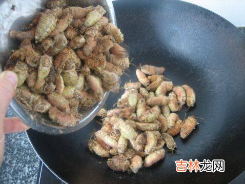 蛾怎么做好吃