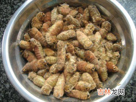 蛾怎么做好吃
