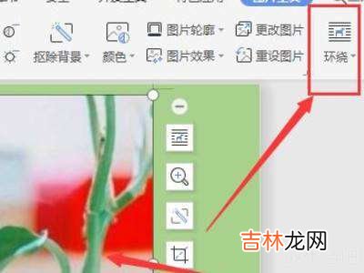 wps放图片进去怎么自由移动?