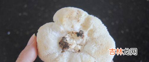 猴头菇汤怎么做好吃