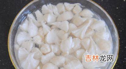 猴头菇汤怎么做好吃