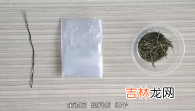 自己怎么晒金银花