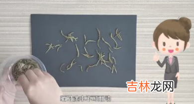自己怎么晒金银花
