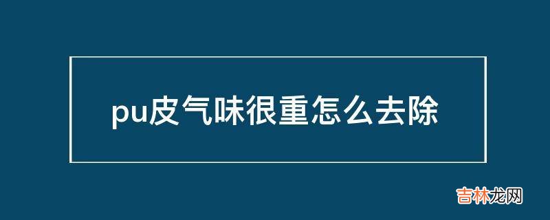 pu皮气味很重怎么去除