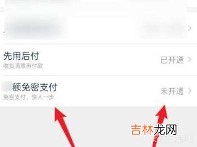 淘宝怎么开大额免密支付?