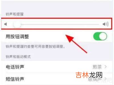 苹果怎么开静音模式?
