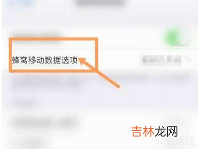 iphone13怎么显示实时网速?