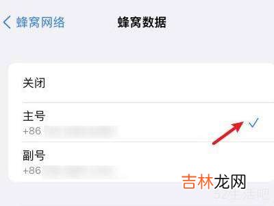 苹果13蜂窝数据怎么设置?
