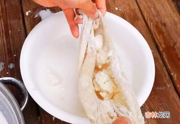 椰浆和牛奶怎么做椰奶