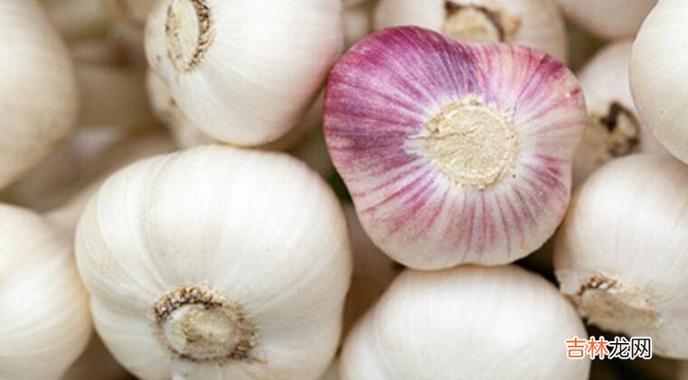 新蒜如何变成老蒜