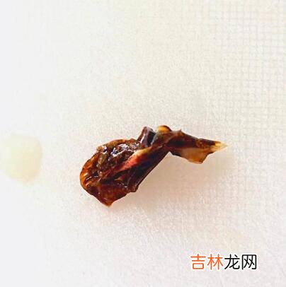 怎么洗虾