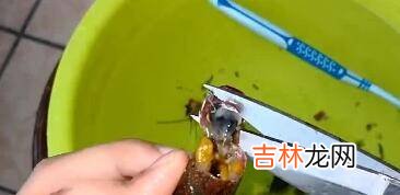 小龙虾虾球怎么清洗