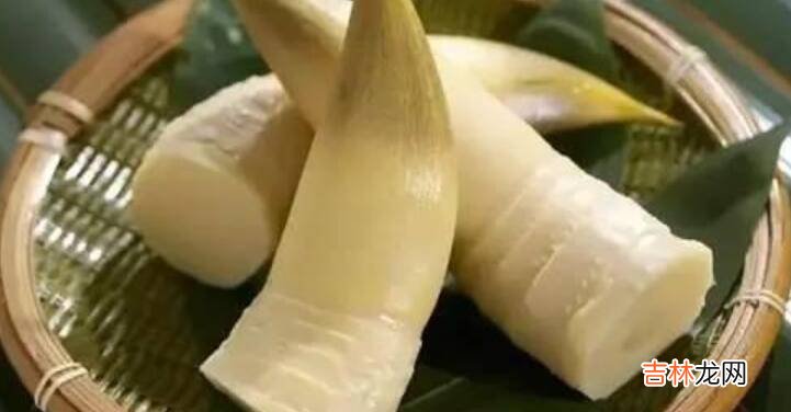 鲜竹笋如何制作笋干