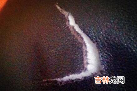 皮衣破了个三角口怎么修复