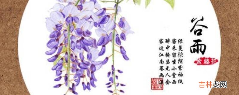 谷雨是什么季节