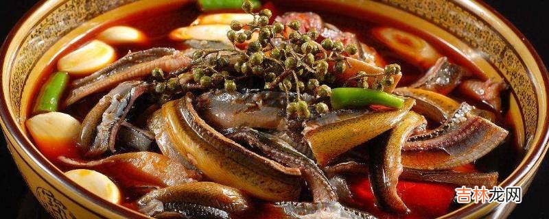 红烧泥鳅最正宗的做法窍门