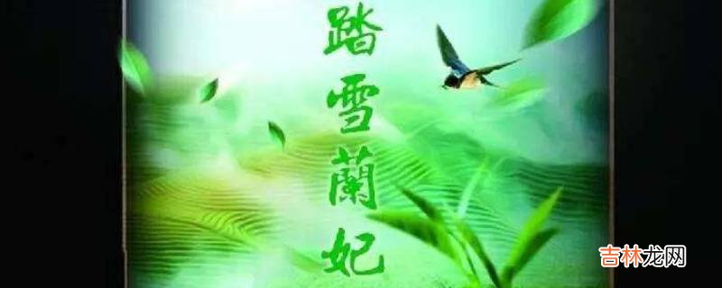 踏雪兰妃茶产自哪里