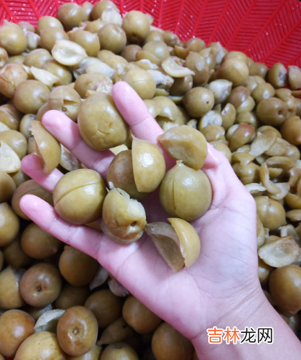 脆梅怎么做