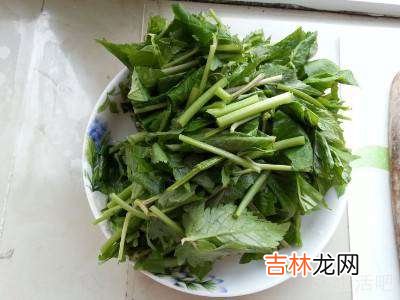 大叶芹炒肉怎么做?