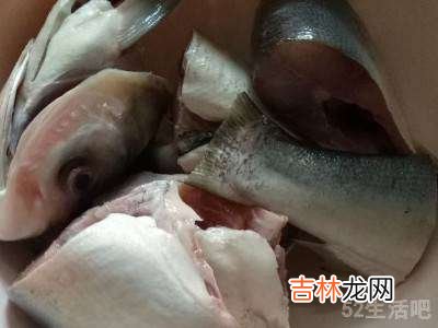 炖鱼头怎么炖?
