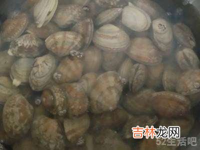 日本味噌汤怎么做?