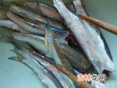 河里小杂鱼怎么做好吃?