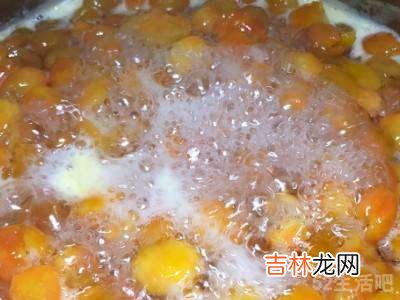 樱桃蜜饯怎么做?