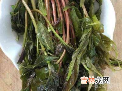 怎么炸香椿芽好吃?