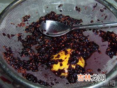 桑葚果汁的制作方法?