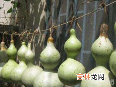 葫芦怎么做?