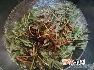 香椿菜如何凉拌?